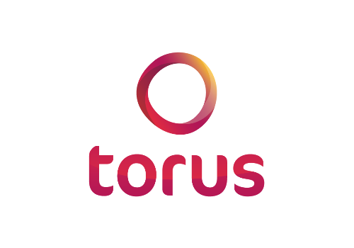 Torus logo